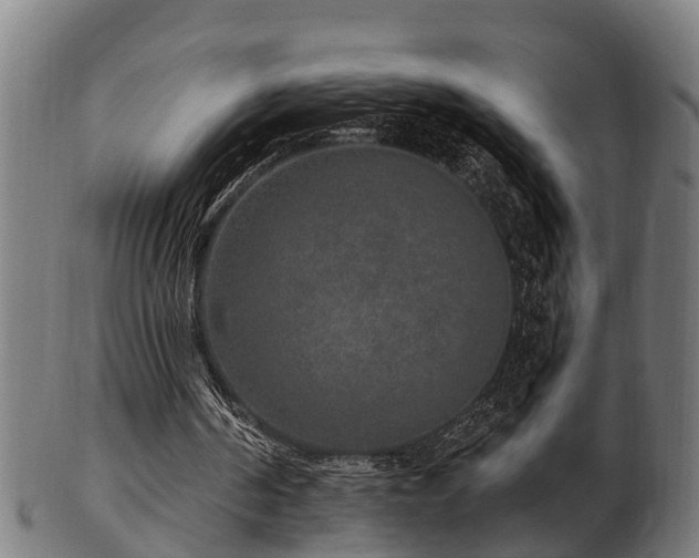 X0000103320194200809121156