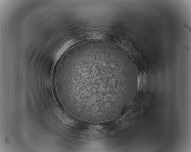 X0000103320195200809121156