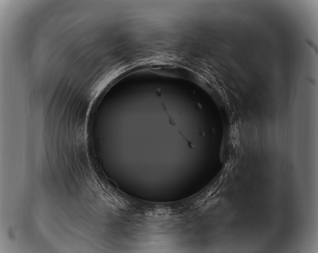 X0000103320196200809121156