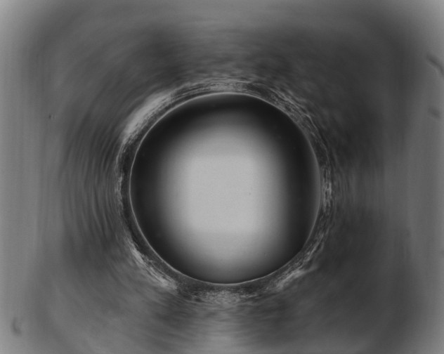 X0000103320197200809121156