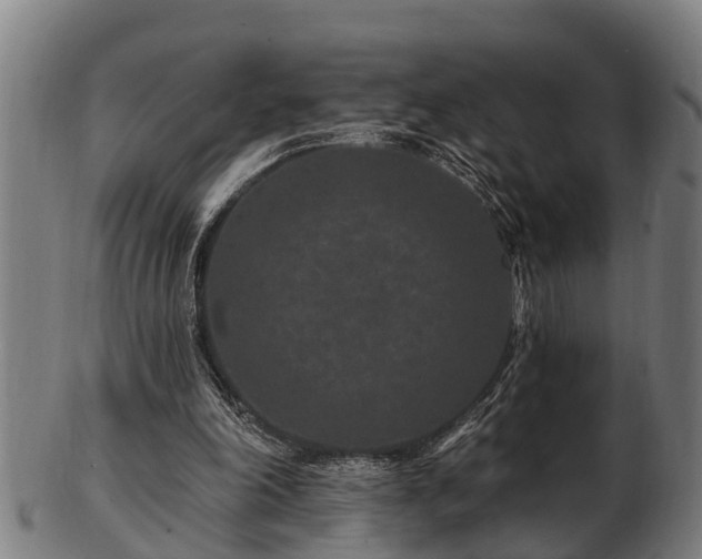 X0000103320198200809121156