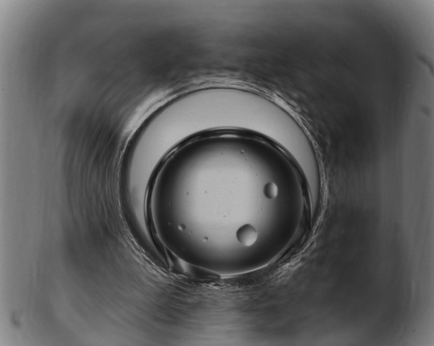 X0000103320199200809121156