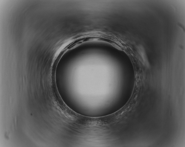 X0000103320200200809121156