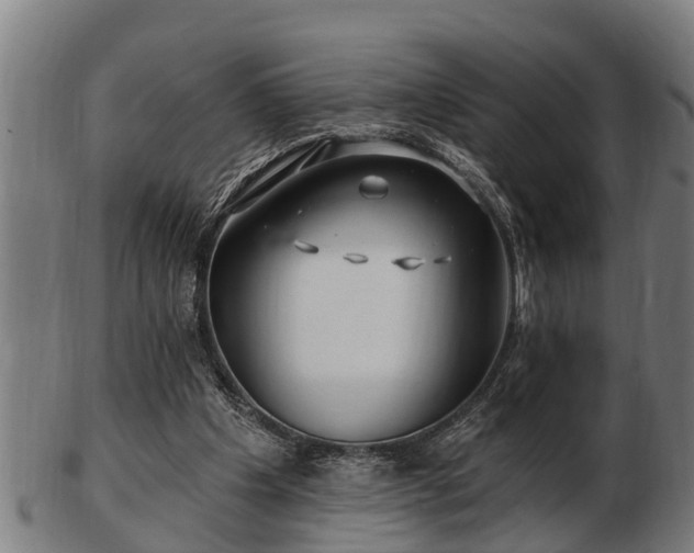 X0000103320201200809121156