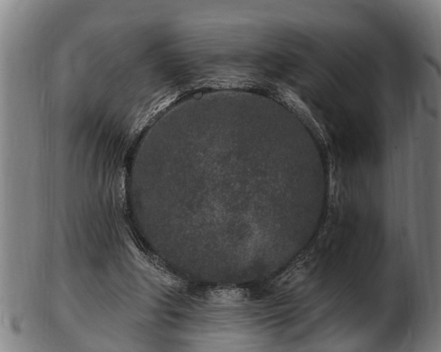 X0000103320202200809121155