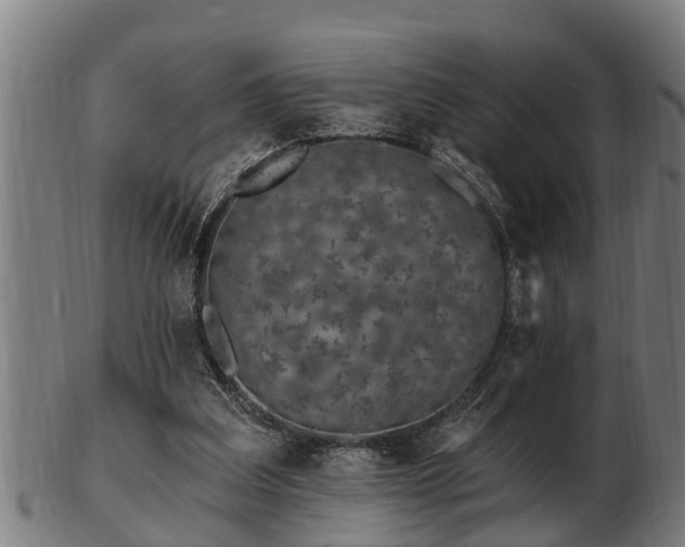 X0000103320203200809121155