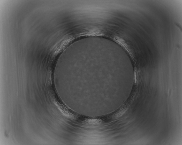 X0000103320205200809121155