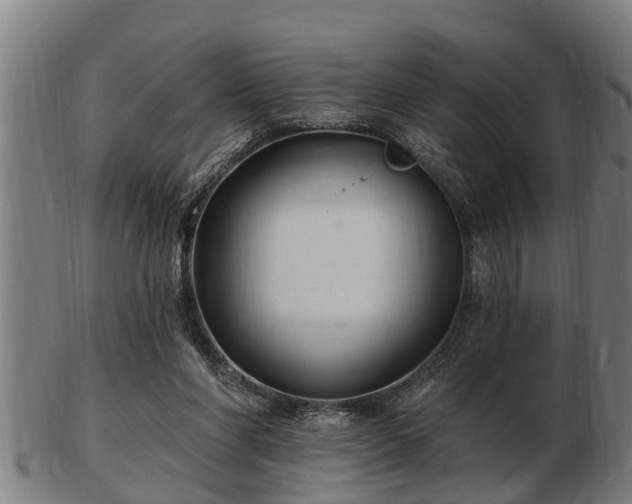 X0000103320206200809121155