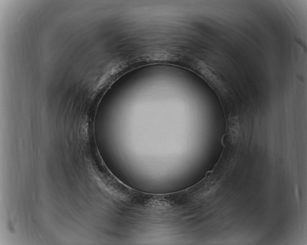 X0000103320207200809121155