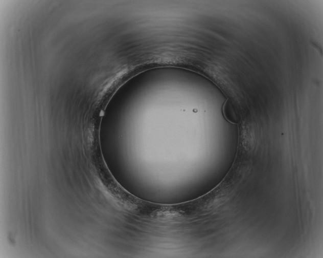 X0000103320208200809121155