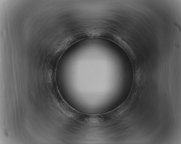 X0000103320209200809121155