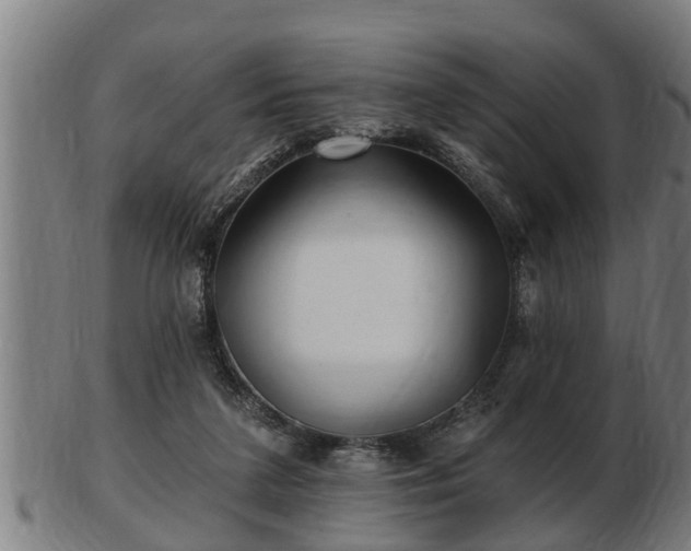 X0000103320211200809121155