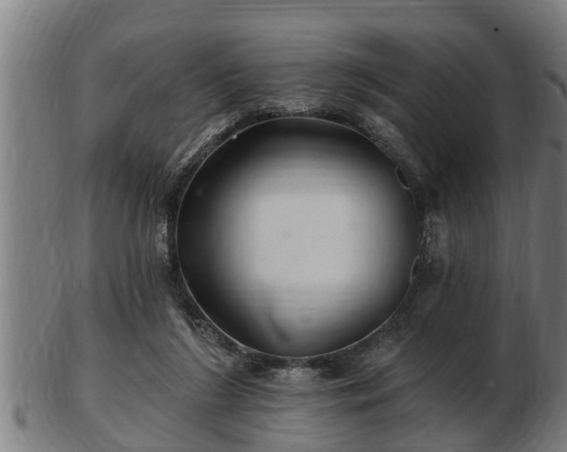 X0000103320212200809121155