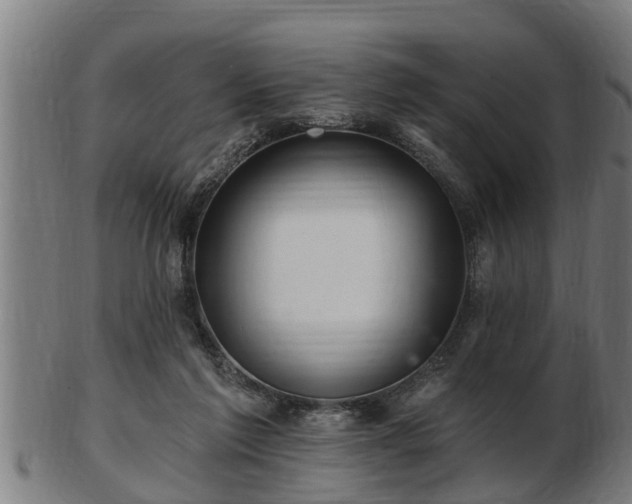 X0000103320213200809121155