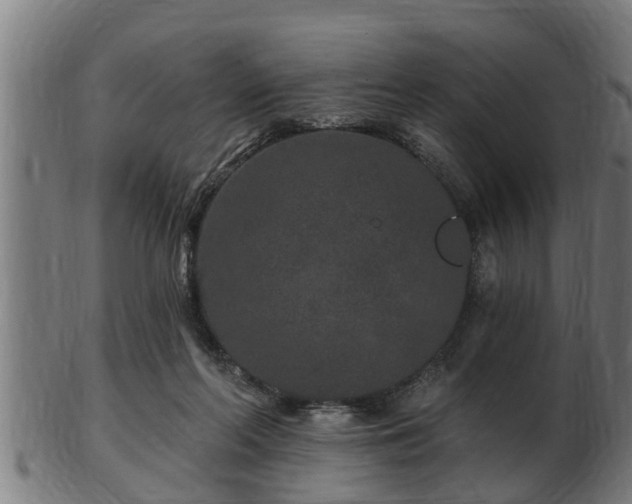 X0000103320214200809121155