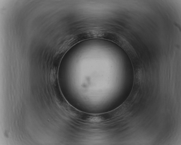 X0000103320218200809121155