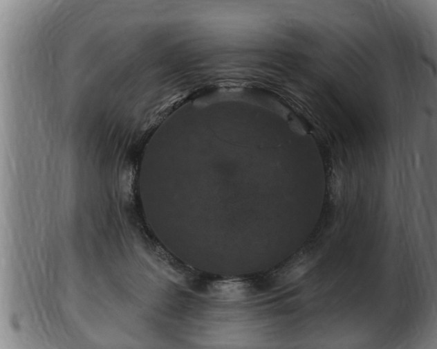 X0000103320219200809121155