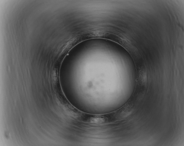 X0000103320220200809121155