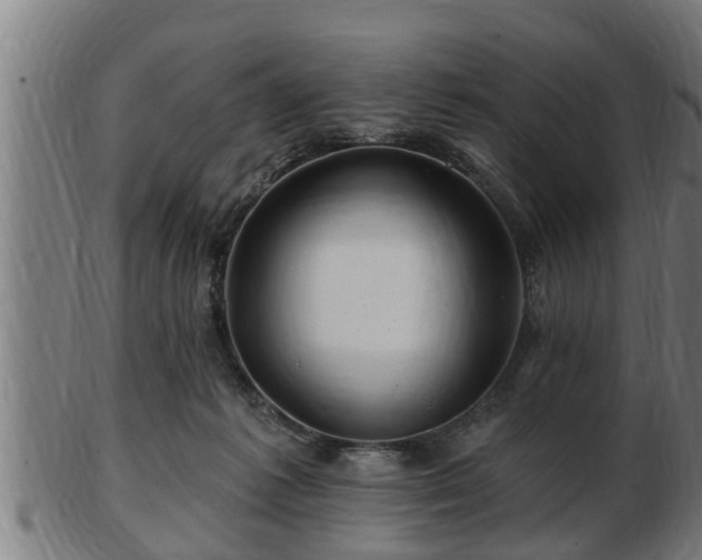 X0000103320221200809121155