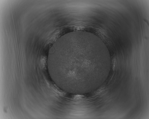 X0000103320222200809121155