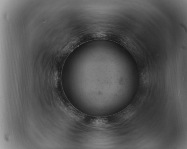 X0000103320223200809121155