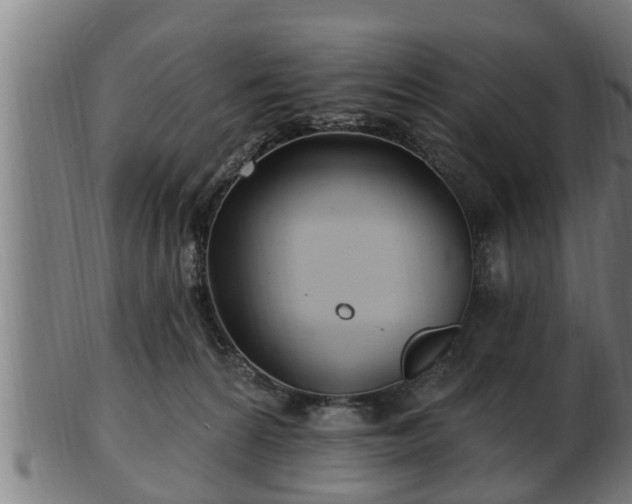 X0000103320224200809121155