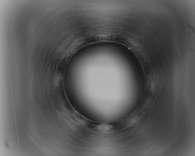 X0000103320225200809121155