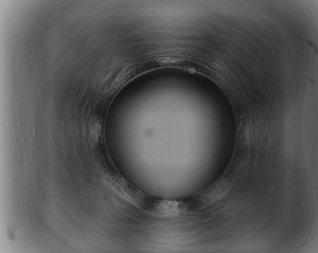 X0000103320227200809121155