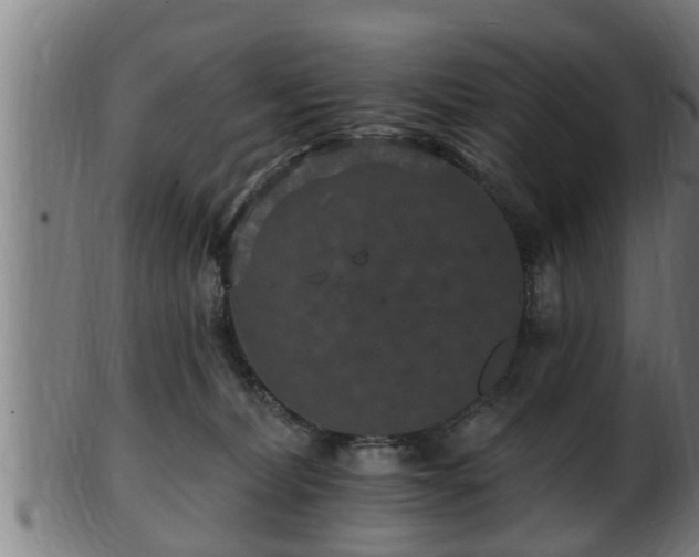 X0000103320228200809121155