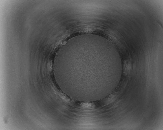 X0000103320230200809121155