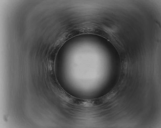 X0000103320232200809121155