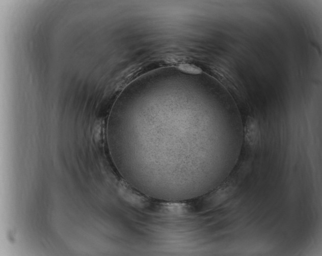 X0000103320233200809121155