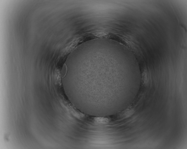 X0000103320234200809121155