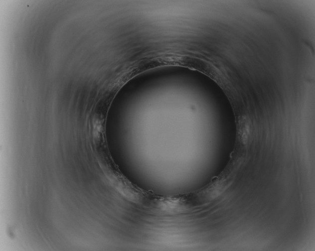 X0000103320235200809121155