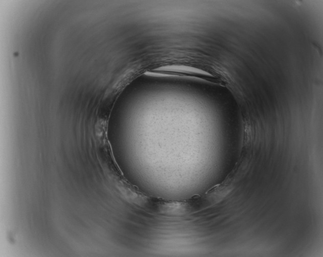 X0000103320237200809121155