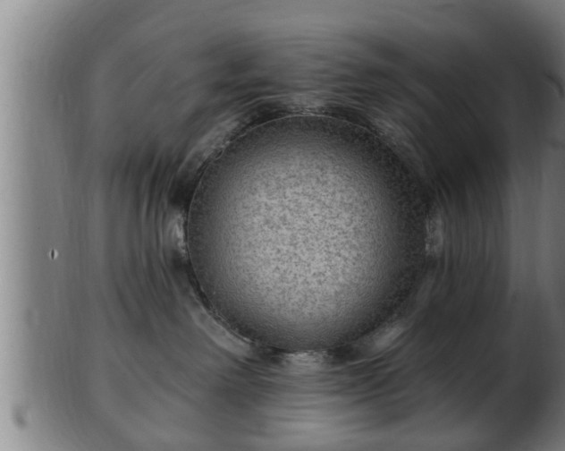 X0000103320238200809121155