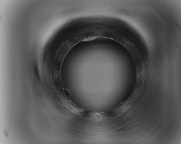 X0000103320239200809121155