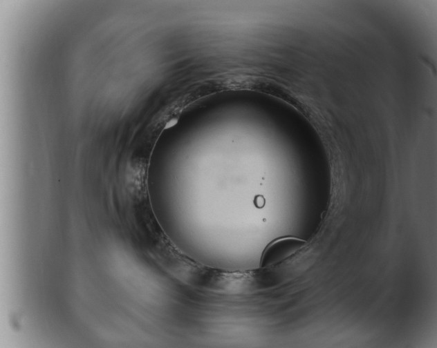 X0000103320240200809121155