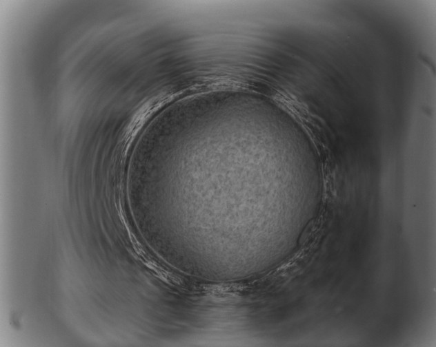 X0000103320241200809121154