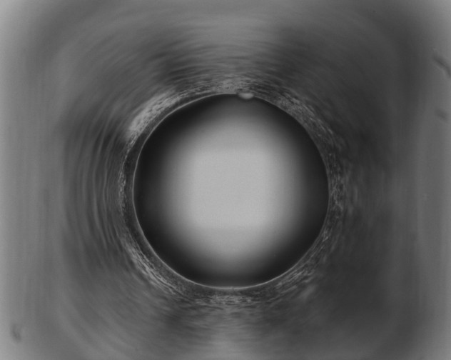 X0000103320242200809121154