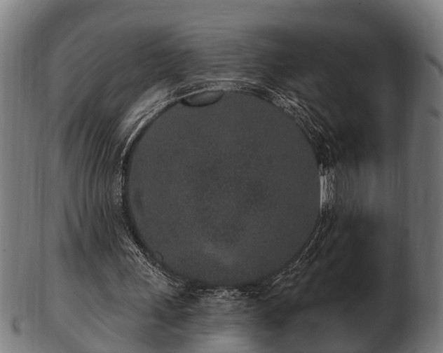 X0000103320243200809121154