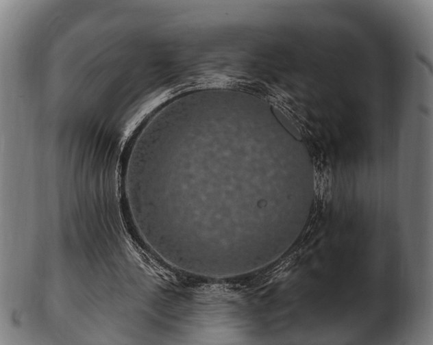 X0000103320244200809121154