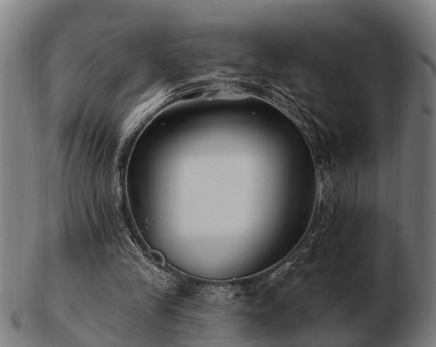 X0000103320245200809121154