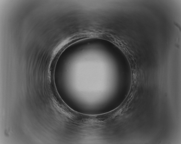 X0000103320246200809121154