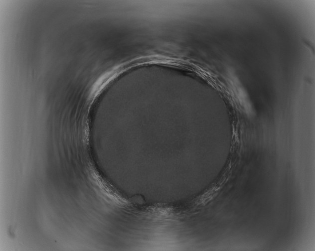 X0000103320247200809121154