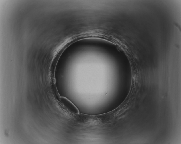 X0000103320248200809121154