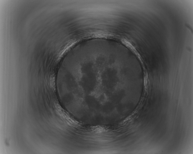 X0000103320249200809121154