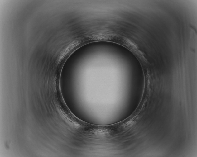 X0000103320250200809121154