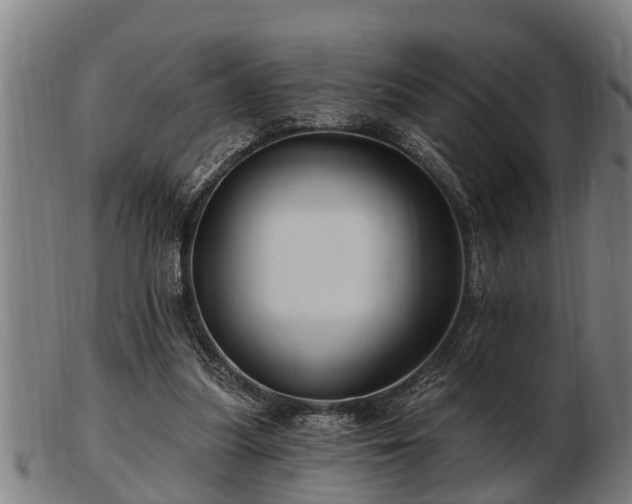 X0000103320251200809121154