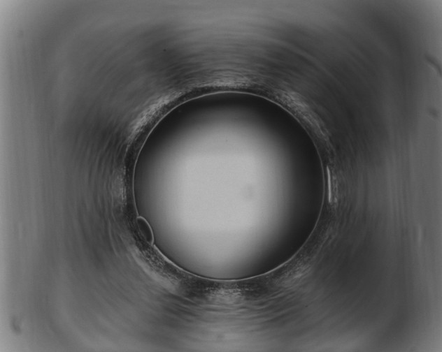 X0000103320252200809121154